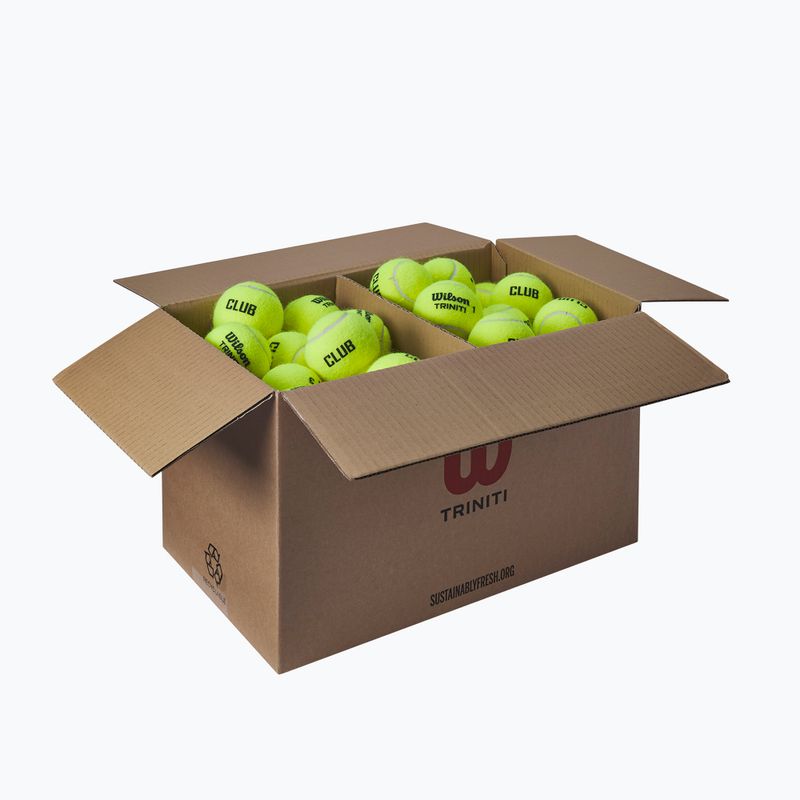 Teniszlabdák Wilson Trinity Club 72 pcs. yellow 2