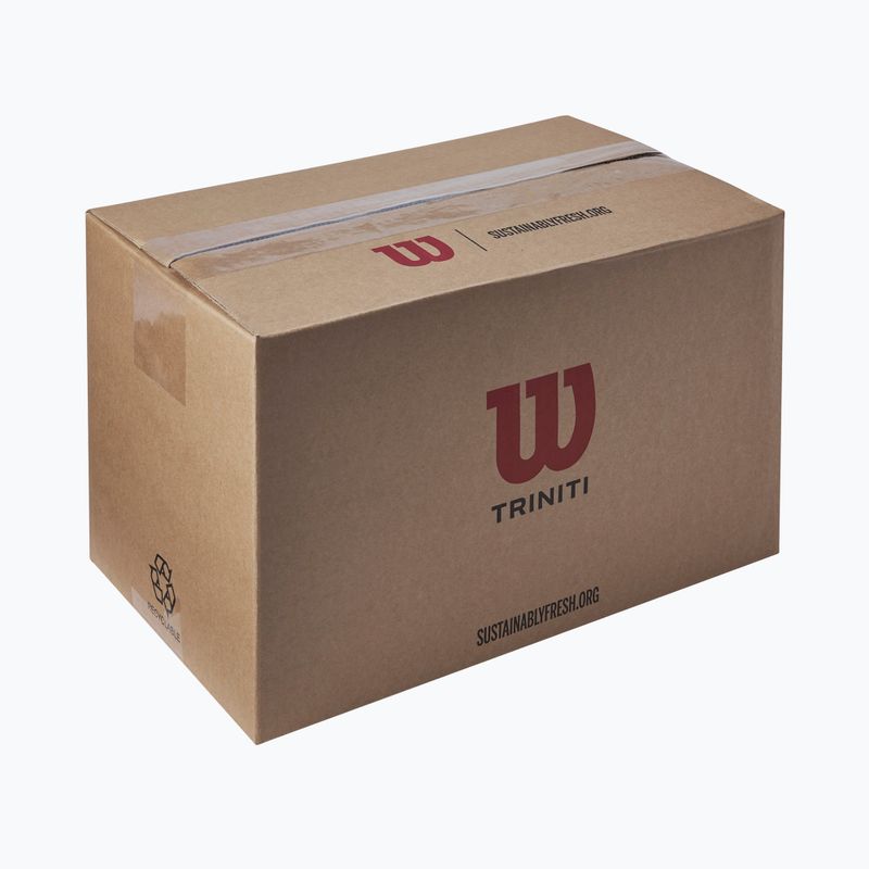 Teniszlabdák Wilson Trinity Club 72 pcs. yellow 4