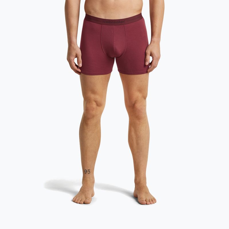 Férfi Termoaktív boxer nadrág icebreaker Anatomica Boxers port 2