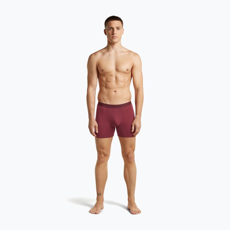Férfi Termoaktív boxer nadrág icebreaker Anatomica Boxers port 3
