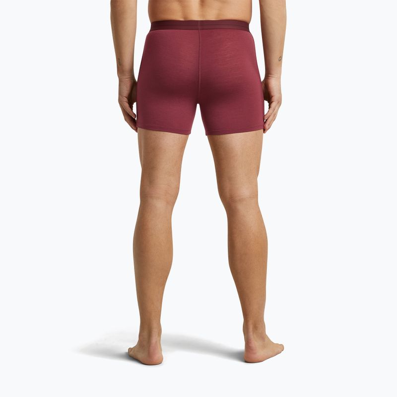 Férfi Termoaktív boxer nadrág icebreaker Anatomica Boxers port 4