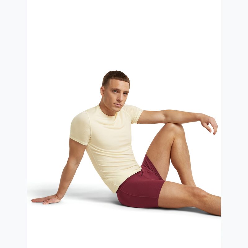 Férfi Termoaktív boxer nadrág icebreaker Anatomica Boxers port 6