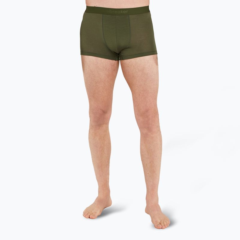 Férfi thermo boxeralsó icebreaker Merino 125 Cool-Lite Anatomica trunks loden loden 2