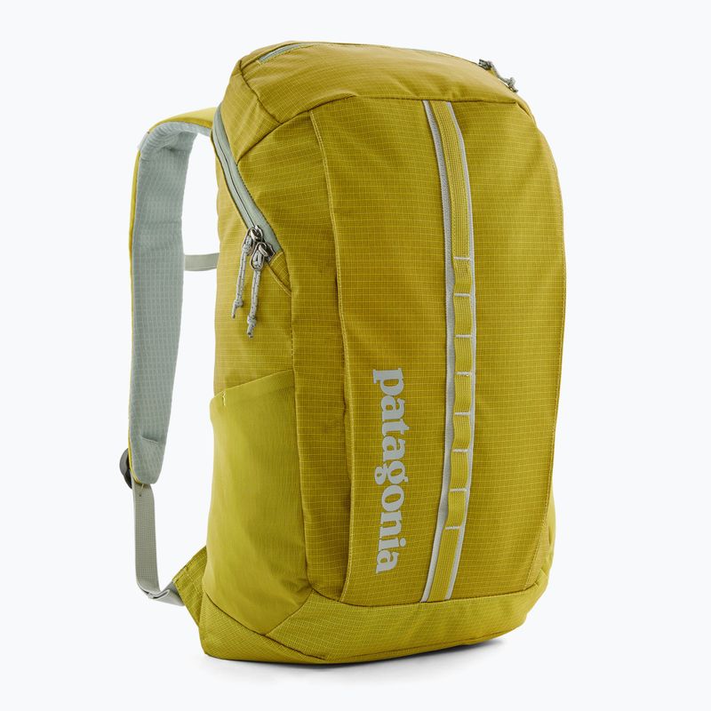 Túra hátizsák Patagonia Black Hole Pack 25 l shrub green 2