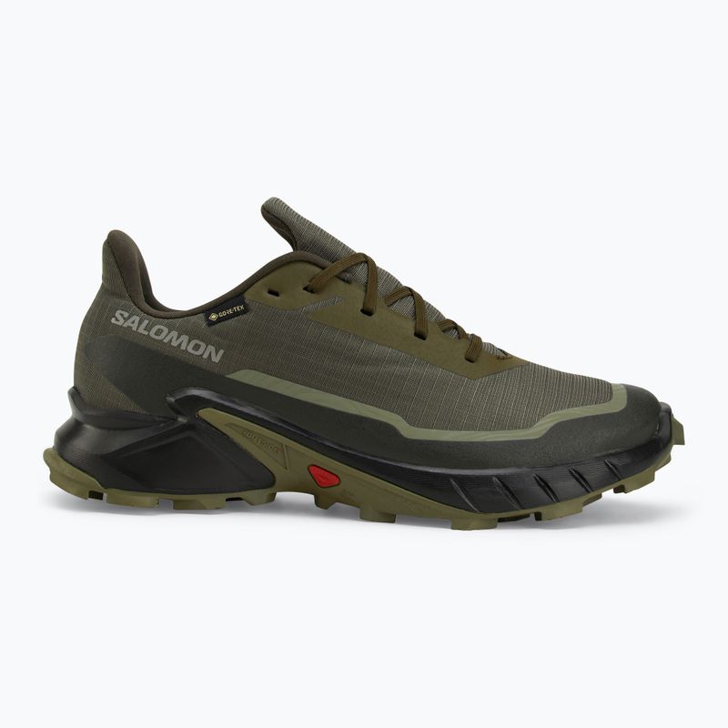 Salomon Alphacross 5 GTX férfi futócipő oliva éj/fekete 2