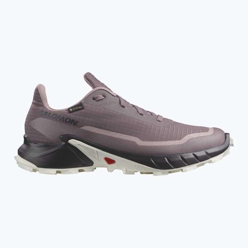 Salomon Alphacross 5 GTX női futócipő moonscape/fekete/fehér 8