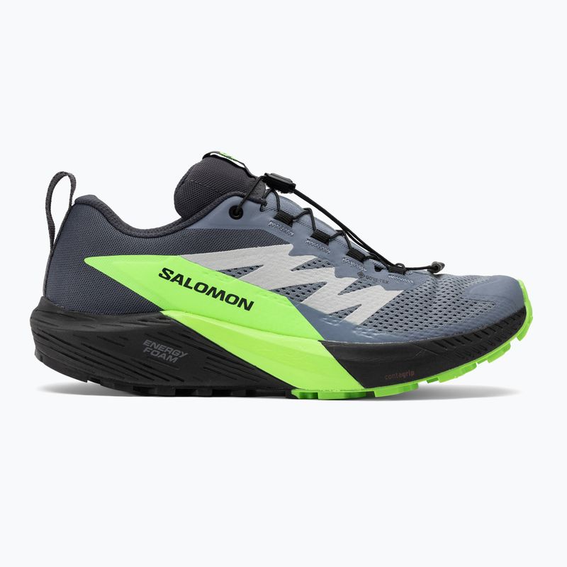 Férfi futócipő Salomon Sense Ride 5 GTX flint stone/black/green gecko 2