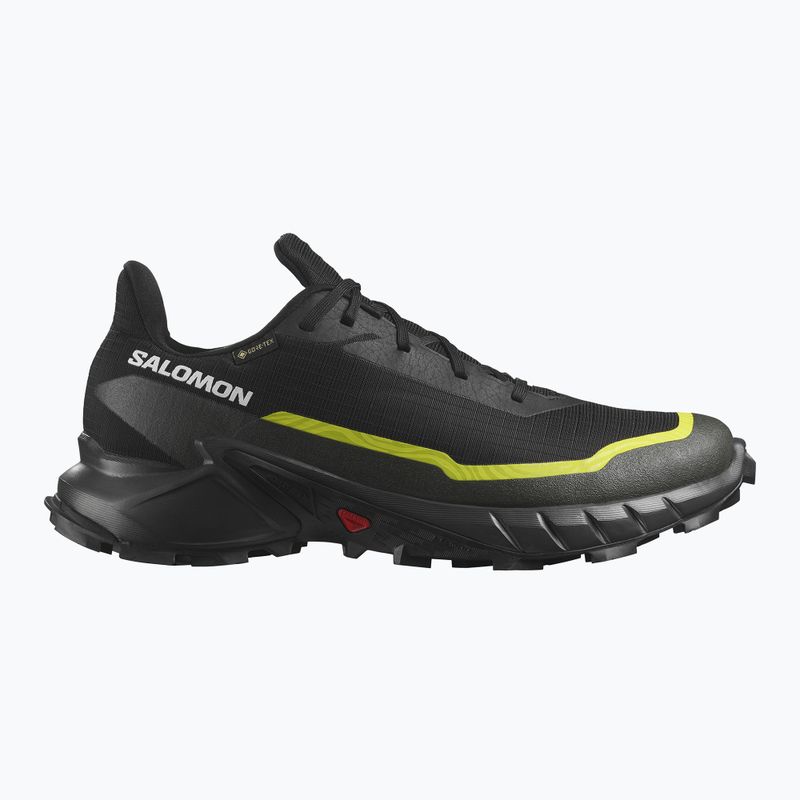 Férfi futócipő Salomon Alphacross 5 GTX black/peat/sulphur spring 9