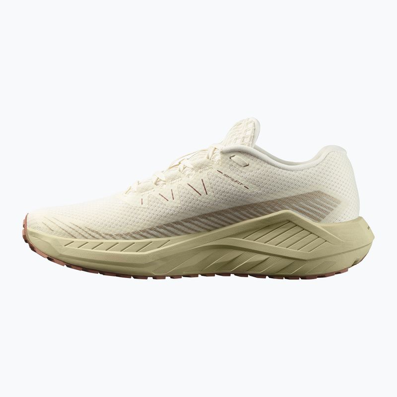 Salomon Thundercross férfi futócipő aszfalt/sharkskin/spray 9