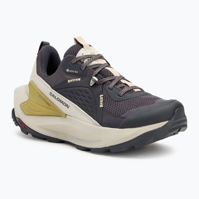 Női túracipő Salomon Elixir GTX 9 nine iron/silver cloud/sponge