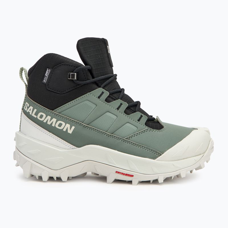 Női trekking cipő Salomon Crosstrak WP agave green/black/can ary green 2