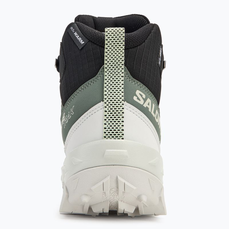 Női trekking cipő Salomon Crosstrak WP agave green/black/can ary green 6
