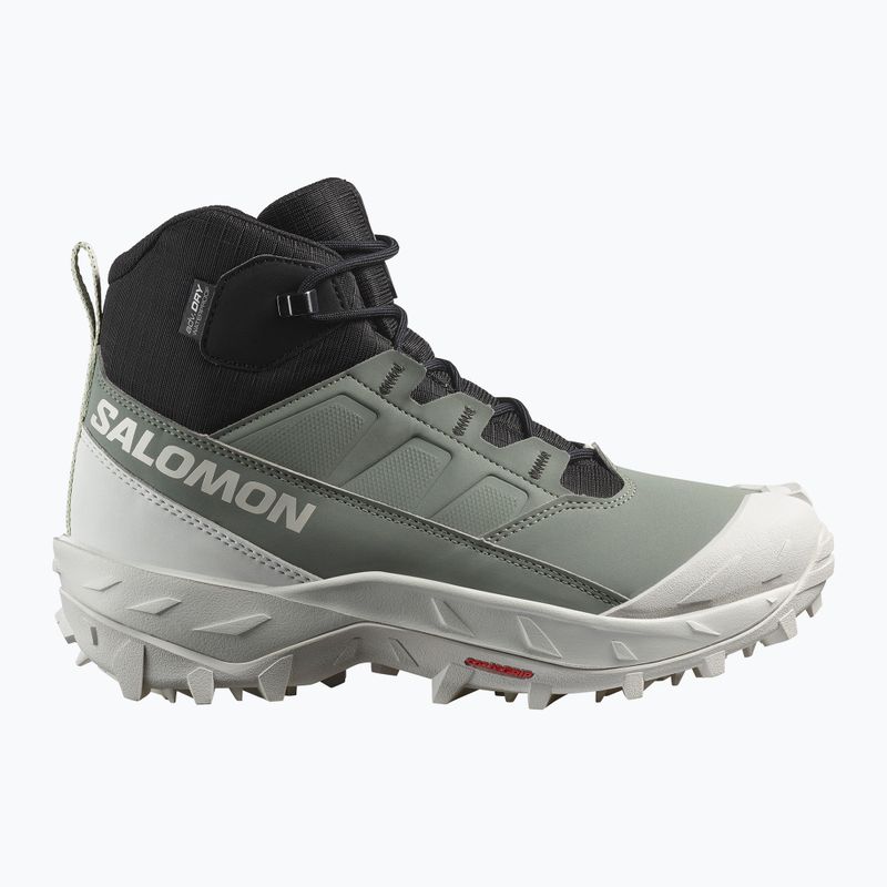 Női trekking cipő Salomon Crosstrak WP agave green/black/can ary green 9
