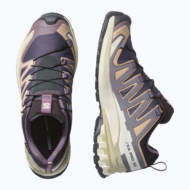 Női futócipők Salomon XA Pro 3D V9 GTX nine iron/oxford tan 3