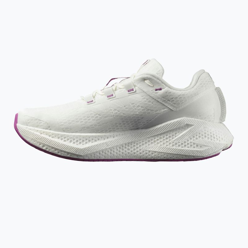Férfi futócipő Salomon Aero Glide 3 fehér/fehér/fűszernövény 9