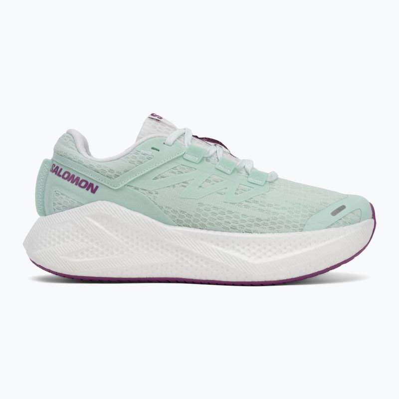 Női futócipő Salomon Aero Glide 3 bay/white/wilowherb 2