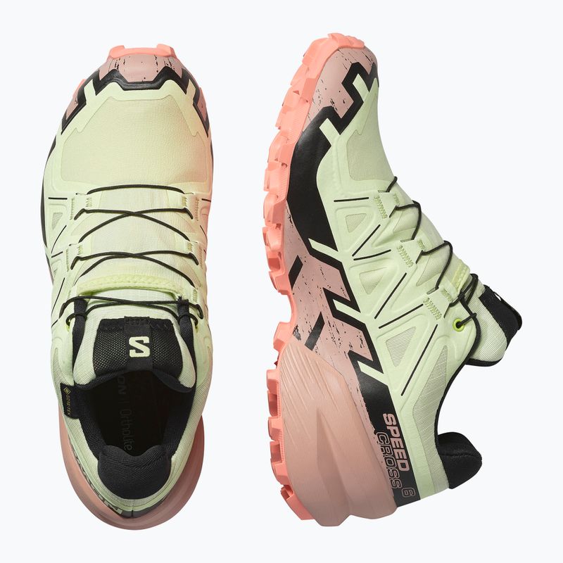 Női Salomon Speedcross 6 GTX futócipő lime cream/mahogany rose/fekete 6