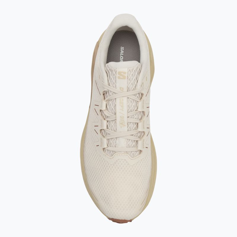Férfi futócipő Salomon Drx Defy GRVL vanília ice/green haze/white pepper 5
