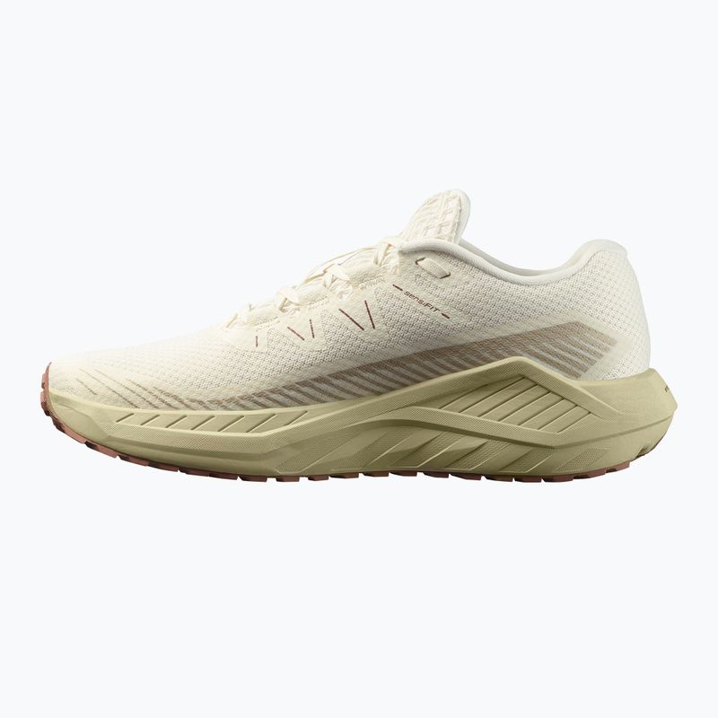 Férfi futócipő Salomon Drx Defy GRVL vanília ice/green haze/white pepper 9