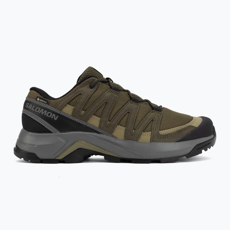 Férfi túracipő Salomon X-Adventure Recon Waterproof olvnig/martini 2