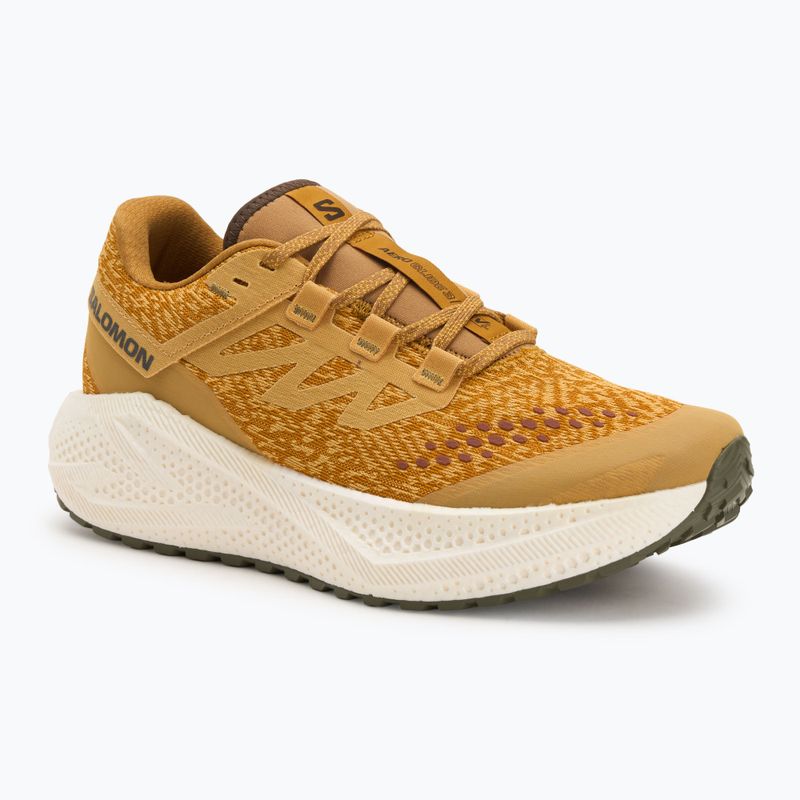 Férfi futócipő Salomon Aero Glide 3 Gravel spicy mustard/vanilla ice/deep lichen green