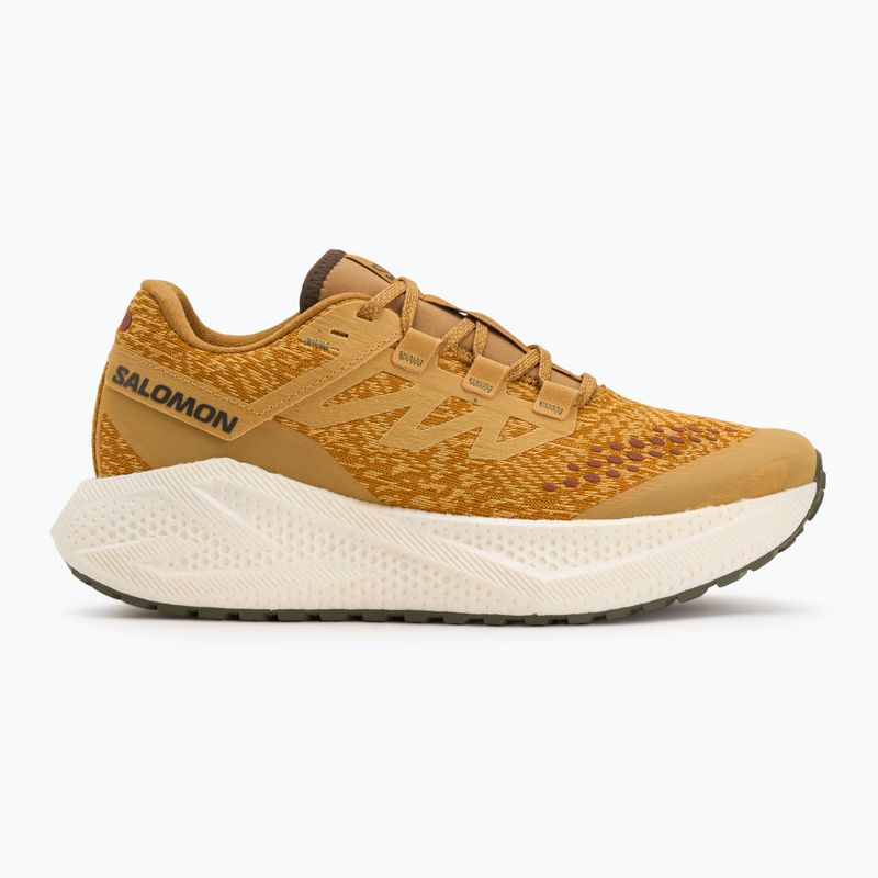 Férfi futócipő Salomon Aero Glide 3 Gravel spicy mustard/vanilla ice/deep lichen green 2