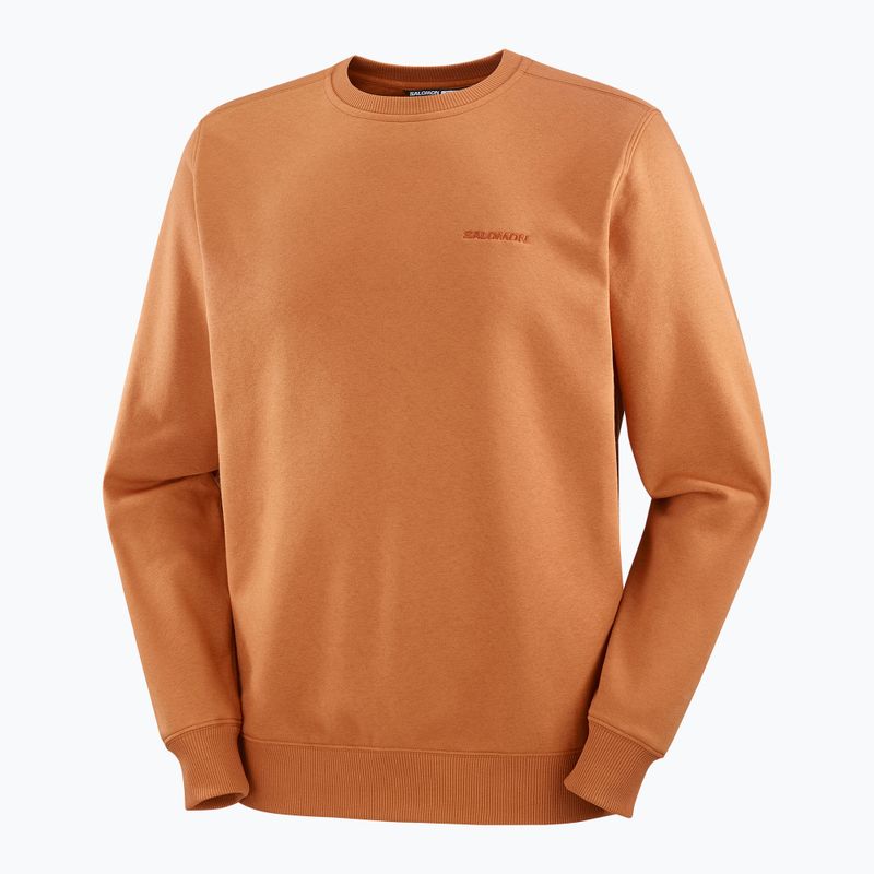 Férfi Salomon Logo Crewneck pulóver sierra 5
