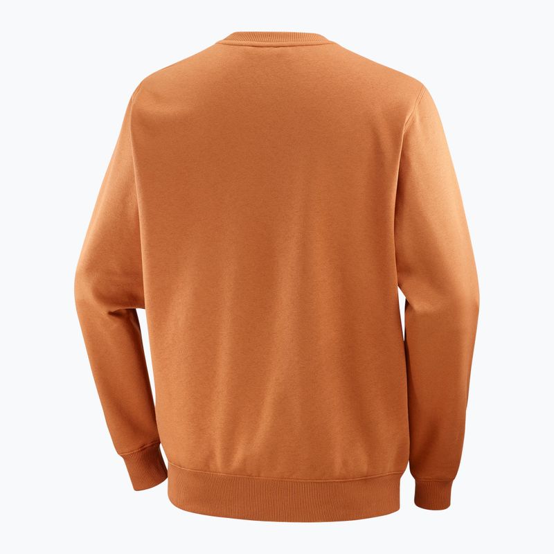 Férfi Salomon Logo Crewneck pulóver sierra 6