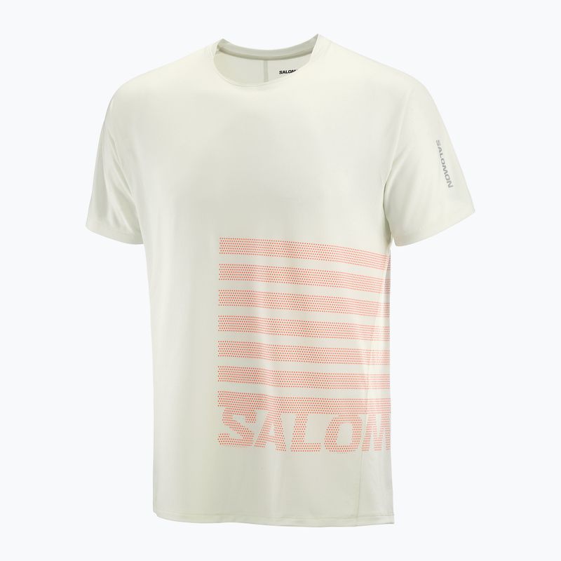 Férfi Salomon Sense Aero Tee GFX jégcsap/neon láng futó póló 4