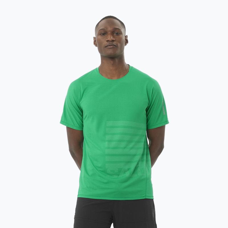 Férfi Salomon Sense Aero Tee GFX parakeet / spearmintme futópóló