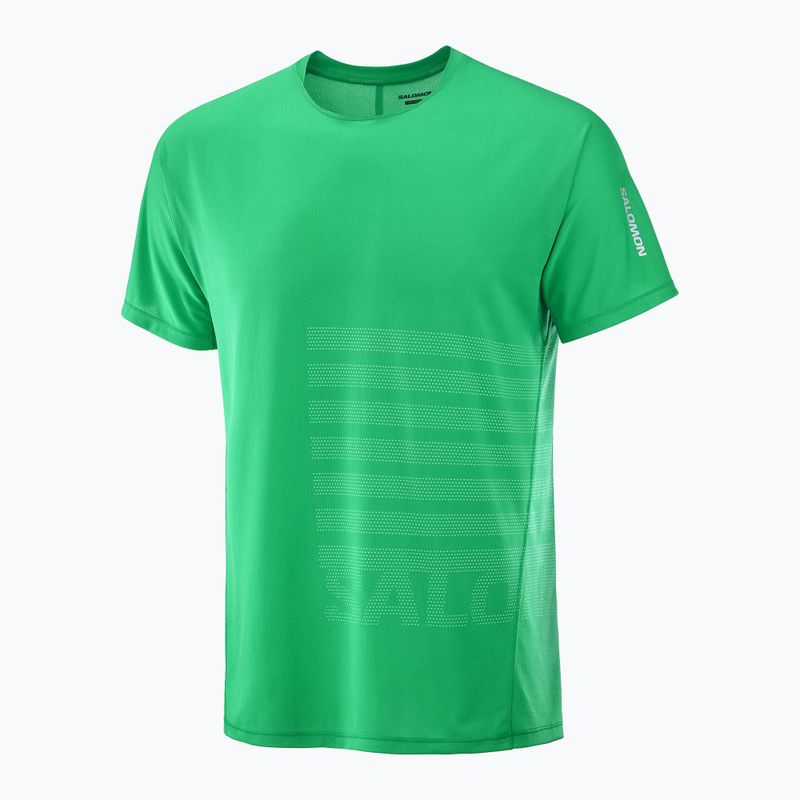 Férfi Salomon Sense Aero Tee GFX parakeet / spearmintme futópóló 4