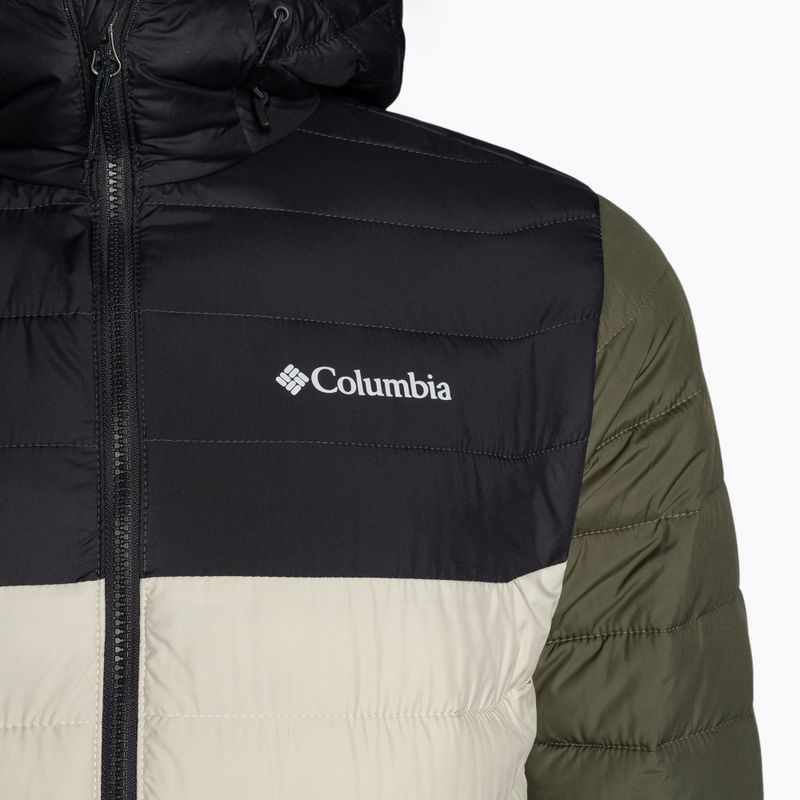 Férfi Columbia Powder Lite kapucnis pehelypaplan dzseki sötét kő/cápa/kő zöld 10