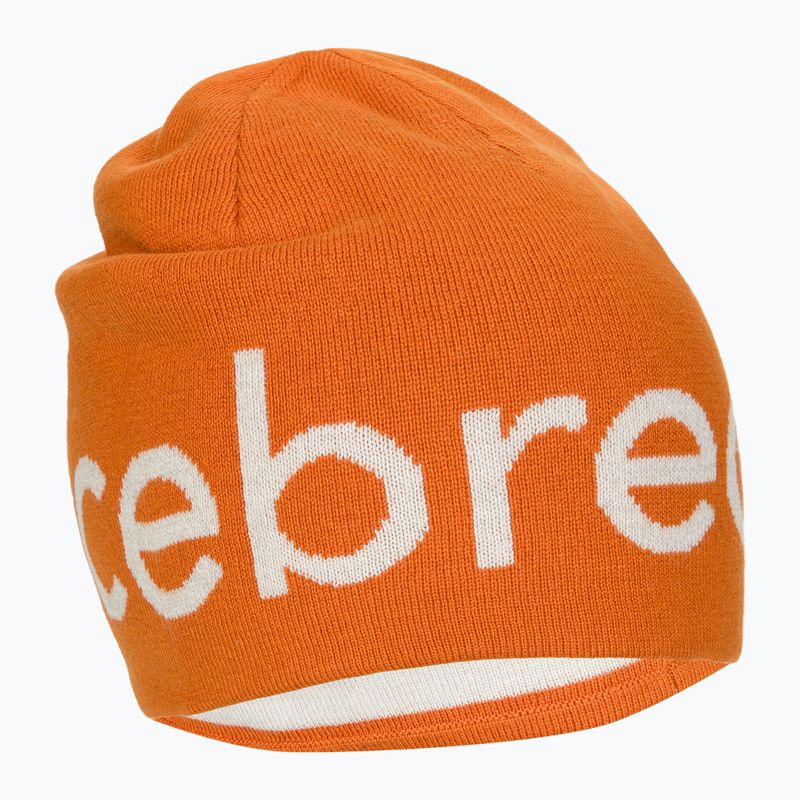 Icebreaker Merino téli sapka earth/ecru hthr