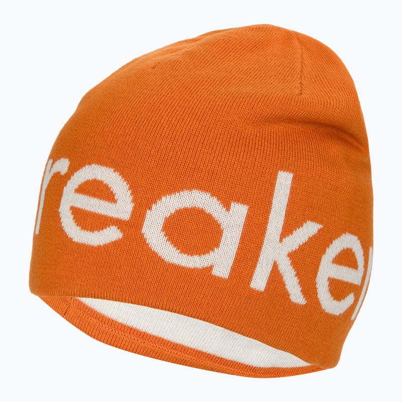 Icebreaker Merino téli sapka earth/ecru hthr 3