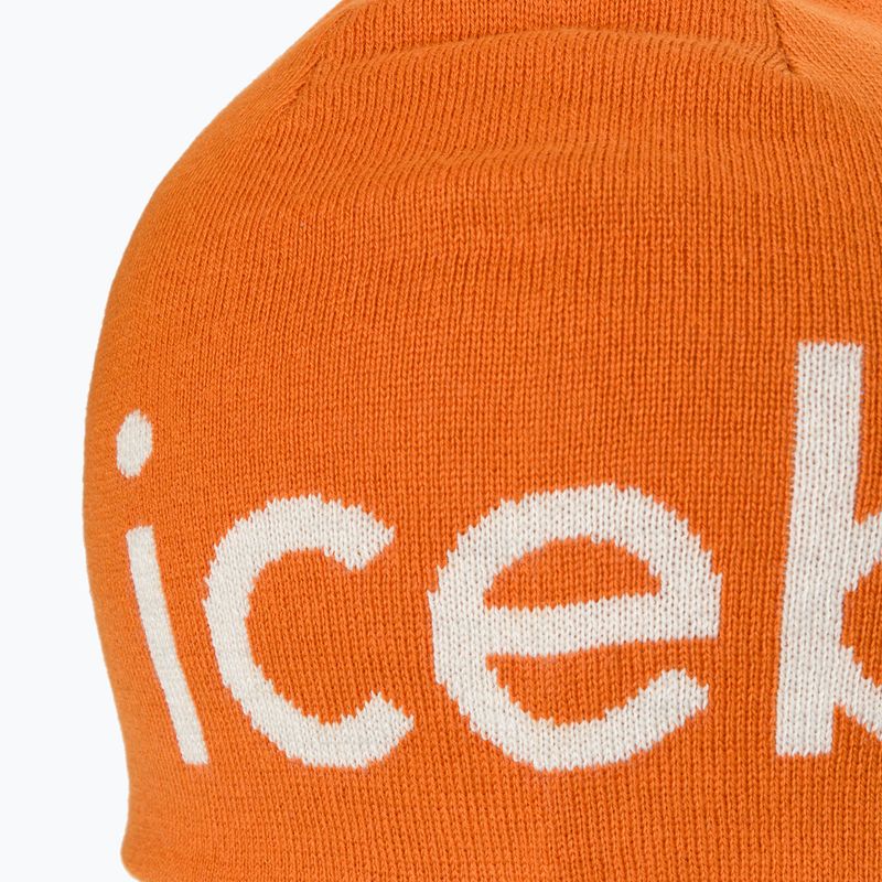 Icebreaker Merino téli sapka earth/ecru hthr 4