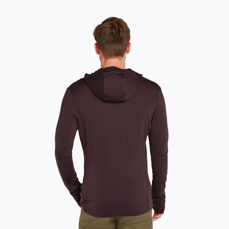 Férfi Icebreaker Merino 260 Quantum IV Zip Hoodie keserédes 3