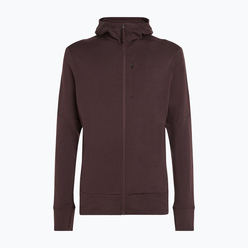 Férfi Icebreaker Merino 260 Quantum IV Zip Hoodie keserédes 11