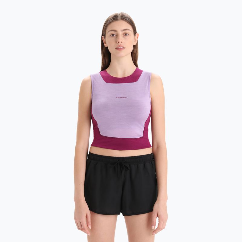 Icebreaker női termál tank top Zoneknit Cropped Bra-Tank lila IB0A56FC8231