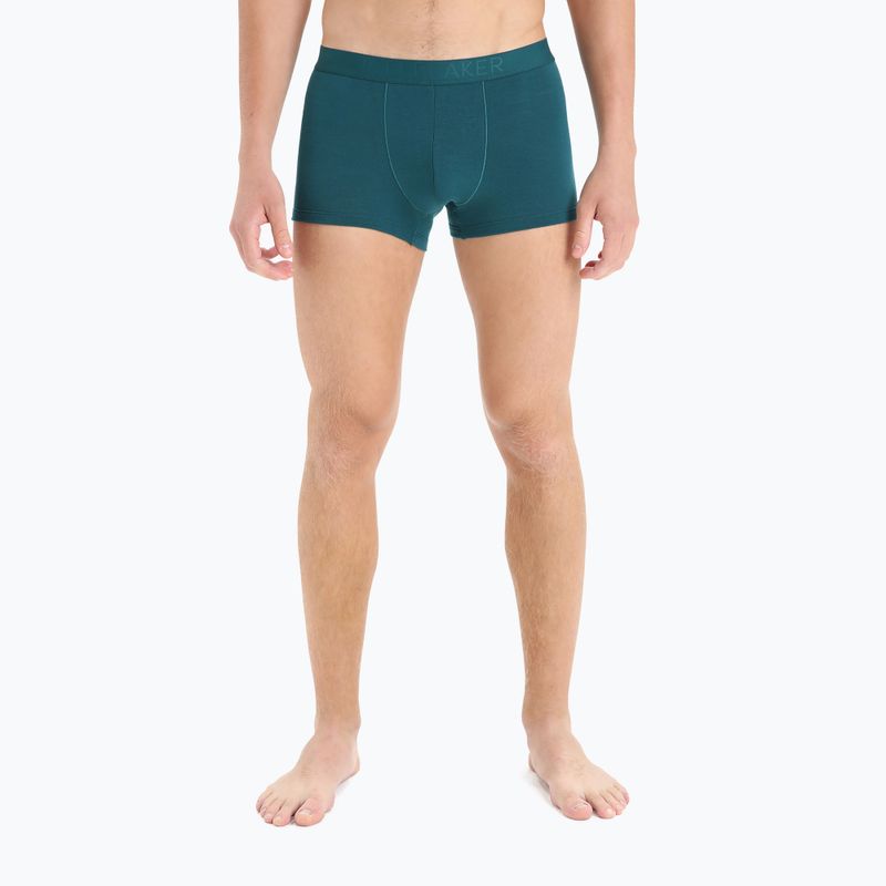 Férfi thermo boxeralsó jégtörő Anatomica Cool-Lite zöld 105223 4