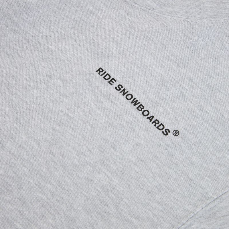 Férfi pulóver RIDE Old English Hoody heather grey 3