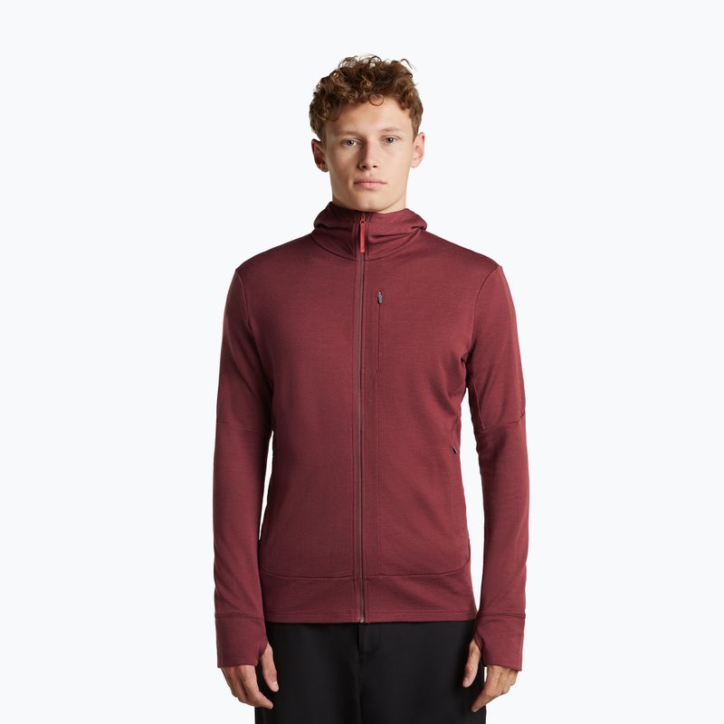 Férfi pulóver Icebreaker Merino 260 Quantum IV LS Zip Hoodie port/agate