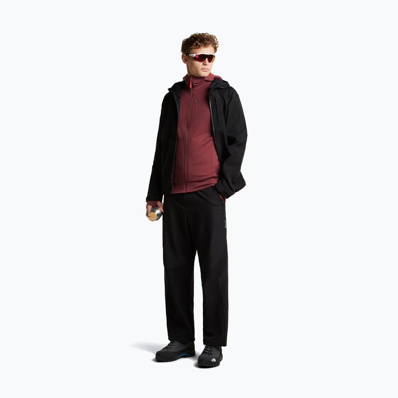Férfi pulóver Icebreaker Merino 260 Quantum IV LS Zip Hoodie port/agate 2