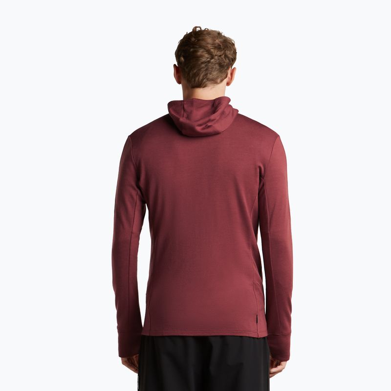 Férfi pulóver Icebreaker Merino 260 Quantum IV LS Zip Hoodie port/agate 3