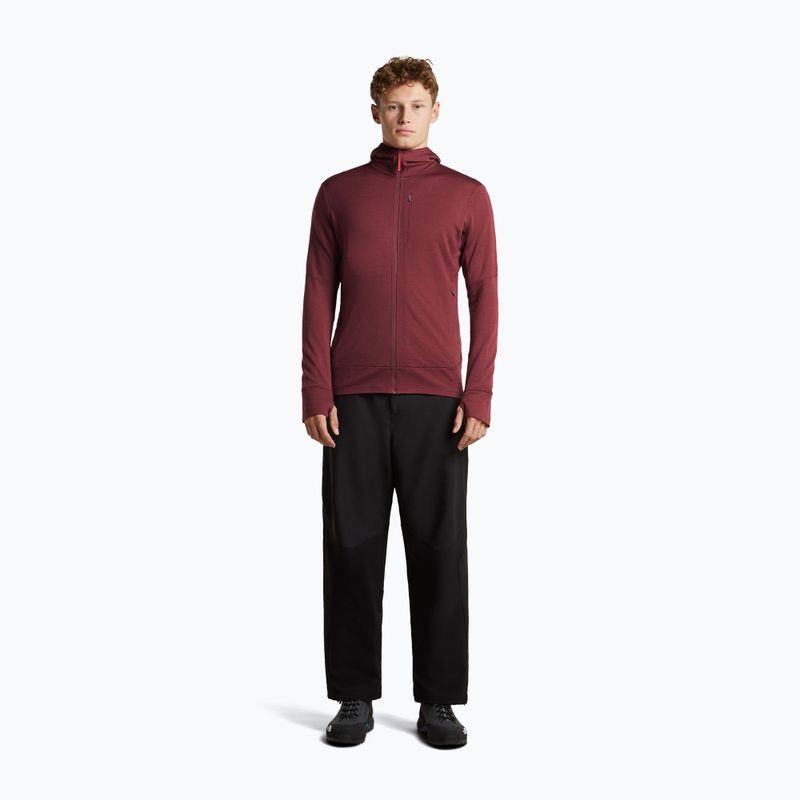 Férfi pulóver Icebreaker Merino 260 Quantum IV LS Zip Hoodie port/agate 4