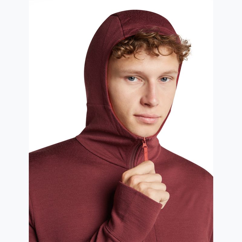 Férfi pulóver Icebreaker Merino 260 Quantum IV LS Zip Hoodie port/agate 6