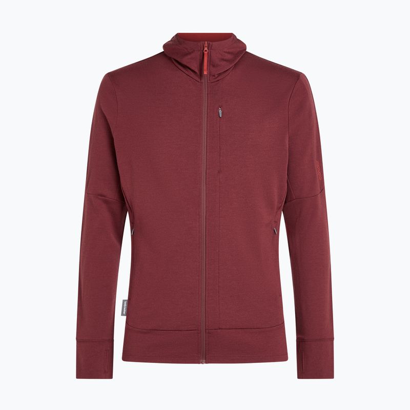 Férfi pulóver Icebreaker Merino 260 Quantum IV LS Zip Hoodie port/agate 10