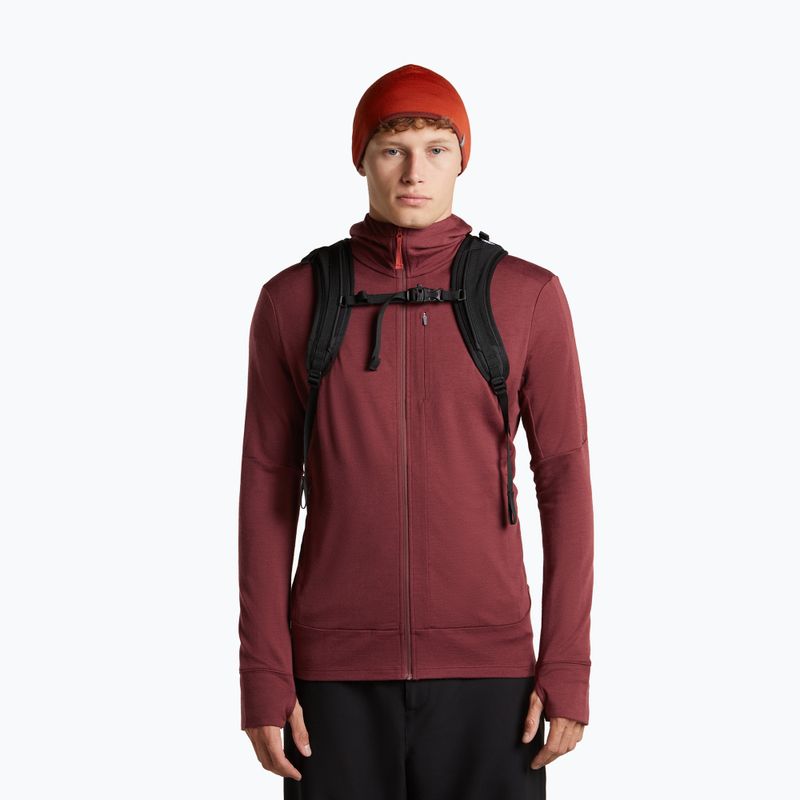 Sapka icebreaker Merino 200 Oasis Reversible Beanie agate/port 6