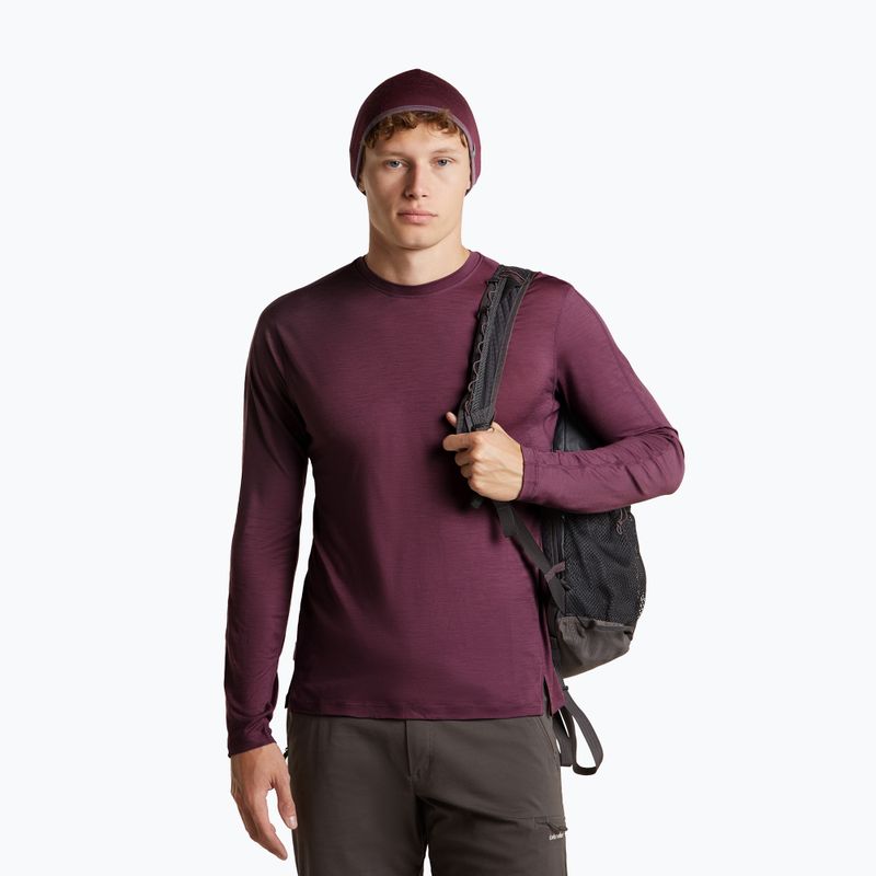 Sapka icebreaker Merino 200 Oasis Reversible Beanie berry/grey plum 5