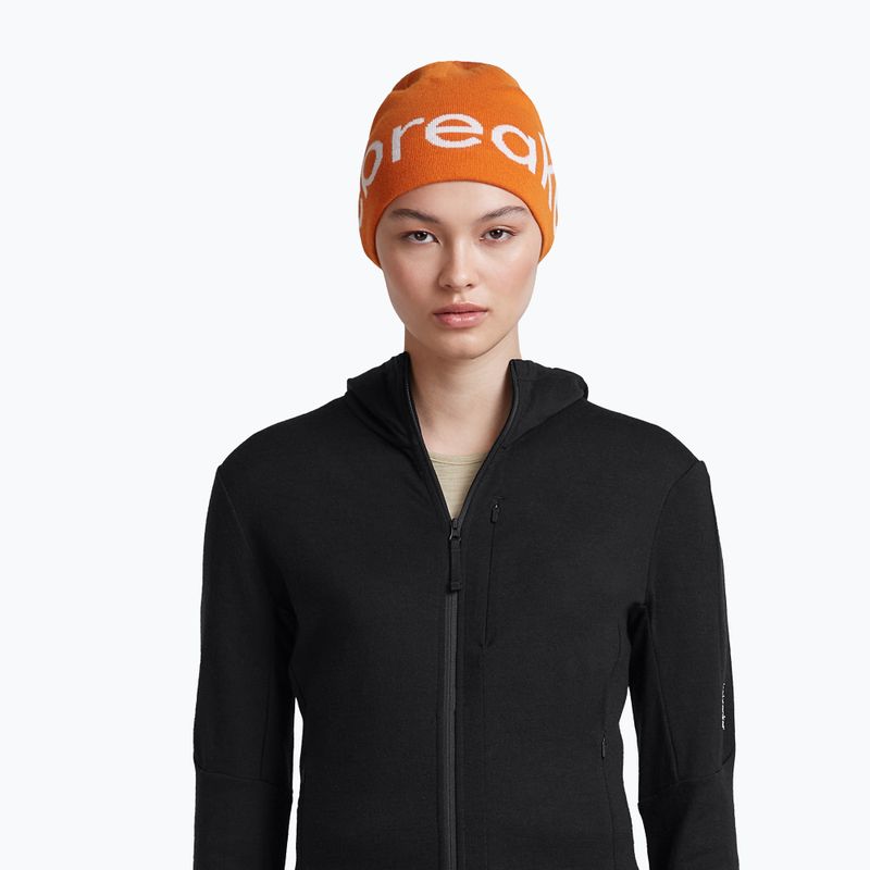 Téli sapka icebreaker Merino Icebreaker Beanie spice/ecru heather 6