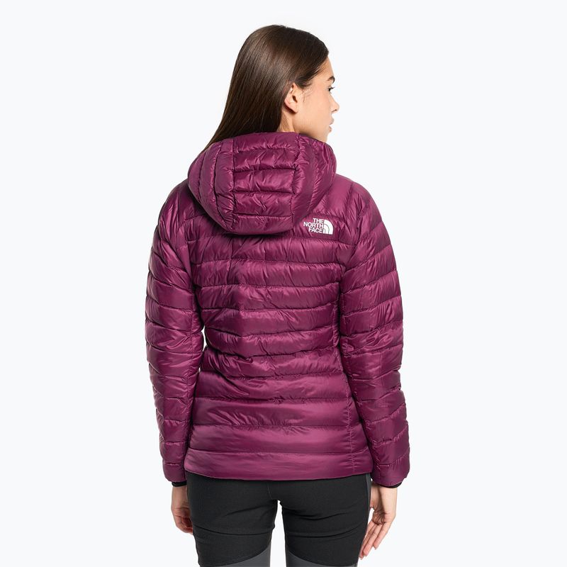 Női télikabát The North Face Summit Breithorn Hoodie boysenberry 2